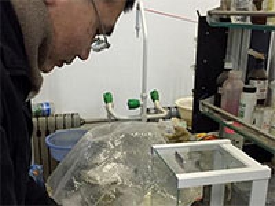 變廢為寶“魔術(shù)師”，舊塑料變家裝板材